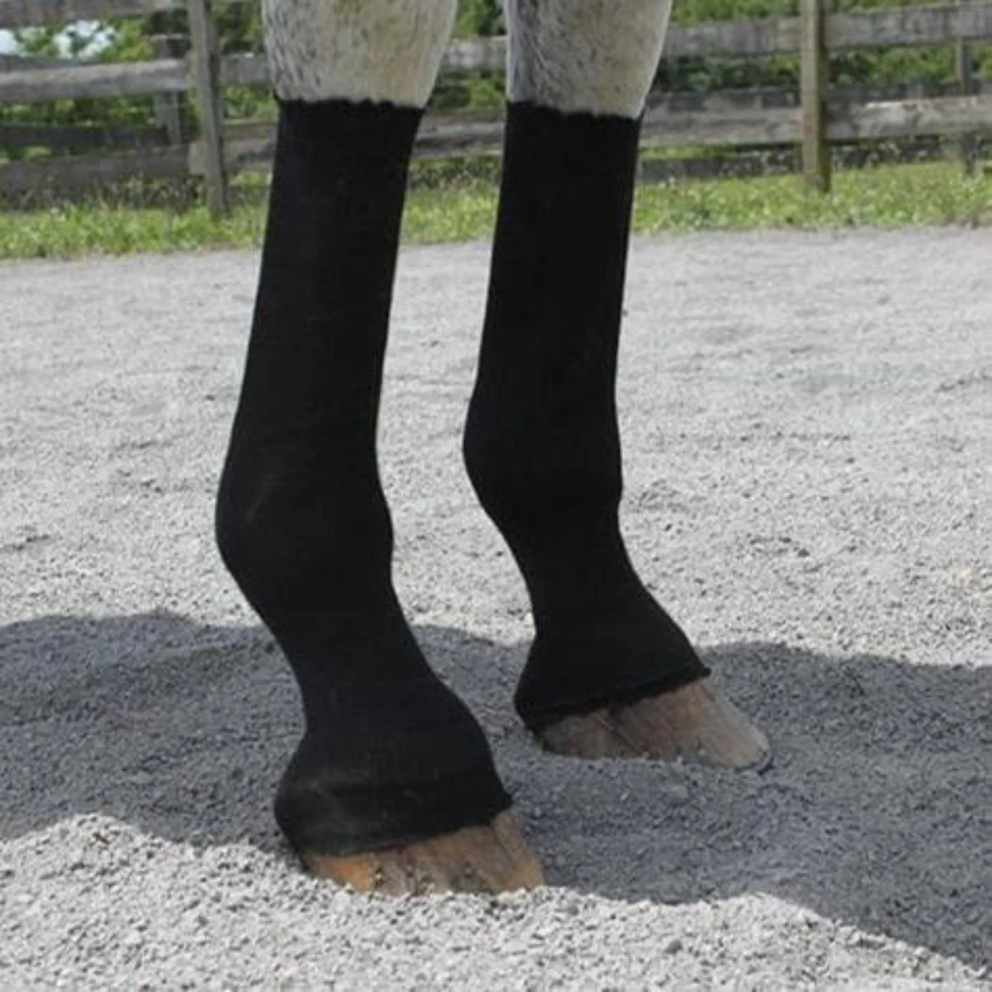 EquiFit  HorseSox