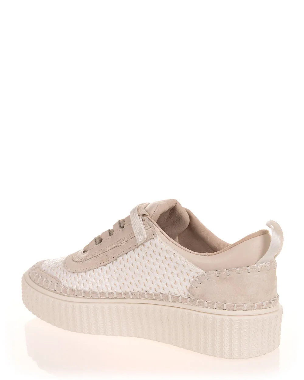 Hael & Jax Prince Bone Leather Sneaker